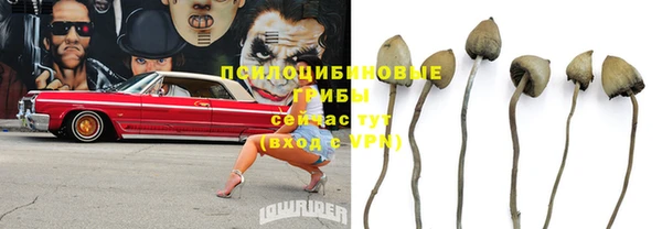 дурь Заводоуковск