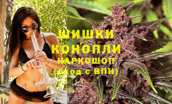 дурь Заводоуковск
