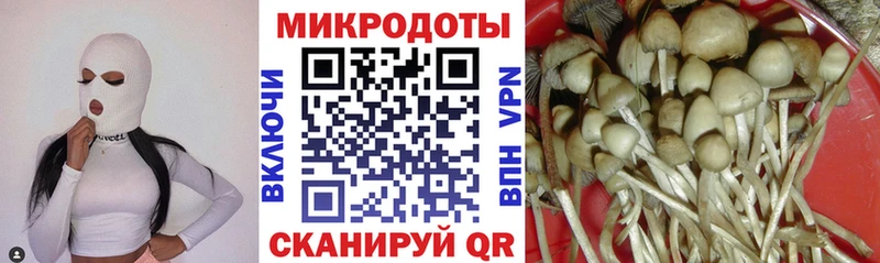 Галлюциногенные грибы мицелий  Купить закладки  Тогучин 